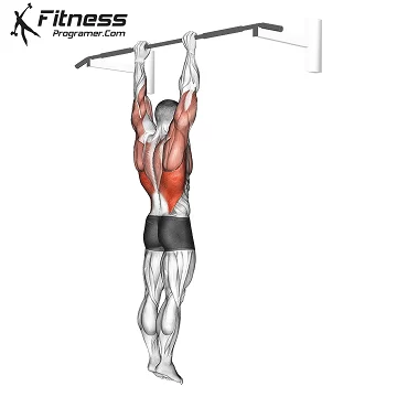 Dead hang exercise demonstration