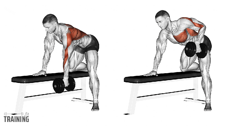 Single-arm dumbbell row exercise demonstration