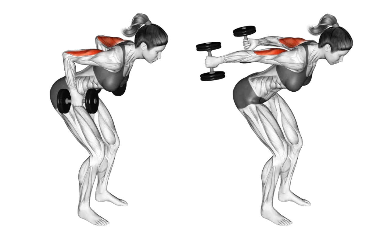 Bent-over dumbbell triceps kickback exercise demonstration