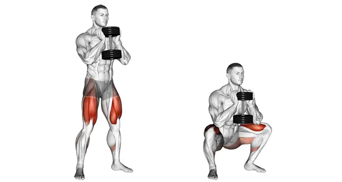 Goblet squat exercise demonstration