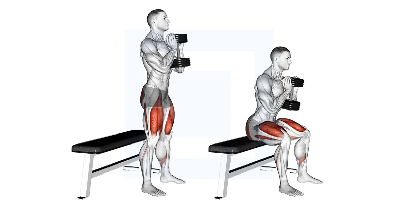 Goblet squat exercise demonstration