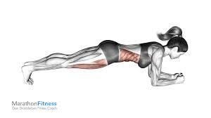 Plank exercise demonstration