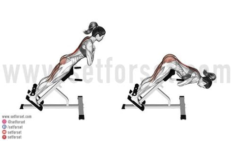 Reverse hyperextension exercise demonstration