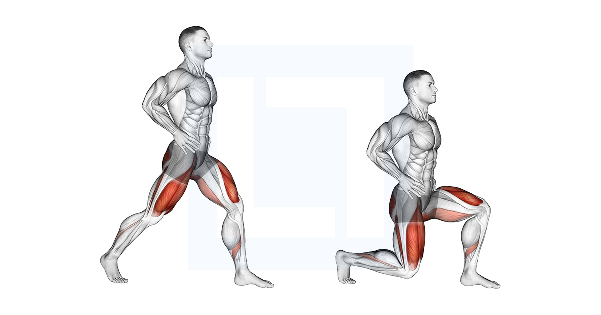 Supported split squat exercise demonstration