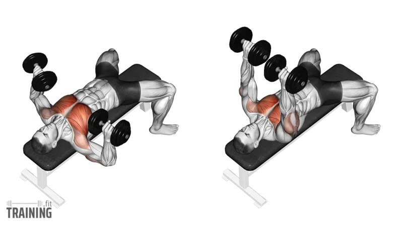 Dumbbell chest press exercise demonstration