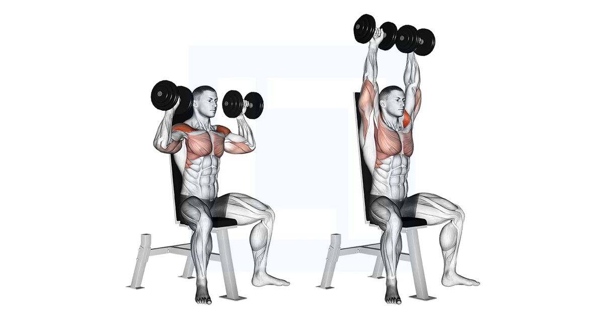 Overhead dumbbell press exercise demonstration